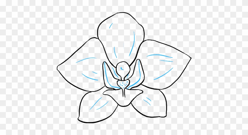 Orchid Flower Drawing - Step By Step Orchid Drawing Clipart #2311792