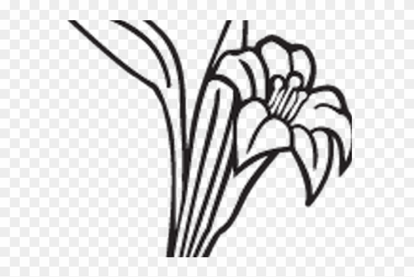 Graves Clipart Flower Drawing - Line Art - Png Download