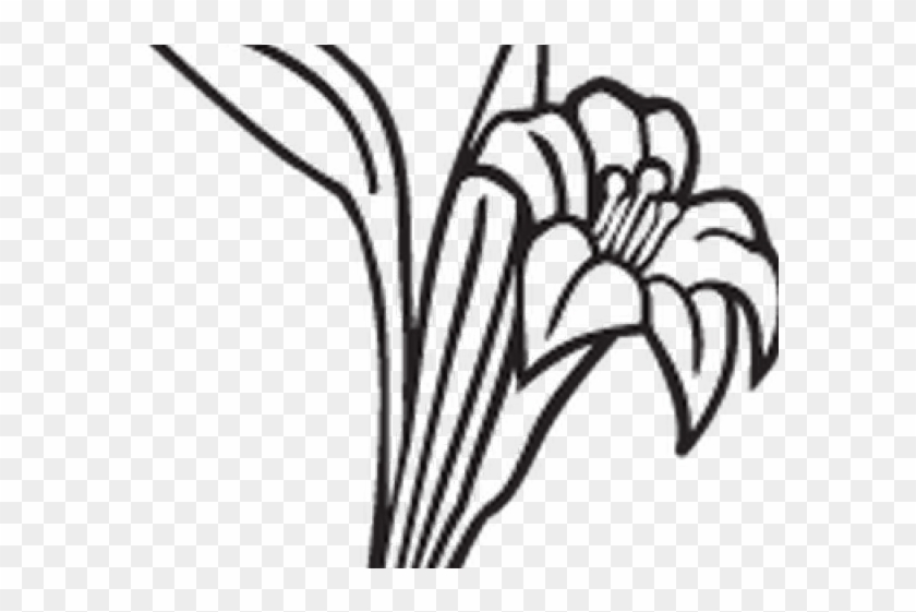 Graves Clipart Flower Drawing - Line Art - Png Download #2311949