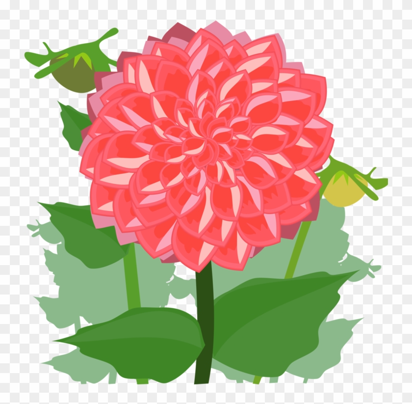 Dahlia Cut Flowers Drawing Daisy Family - Dahlia Clipart - Png Download #2311985