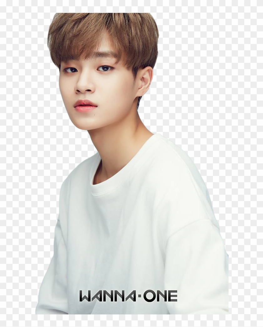 Wanna One Profile - Wanna One Members Daehwi Clipart