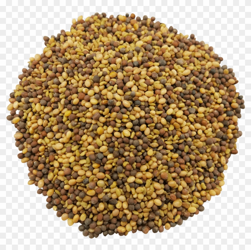 Antioxidant Sprouting Seeds Mix - Broken Almond Clipart #2313367