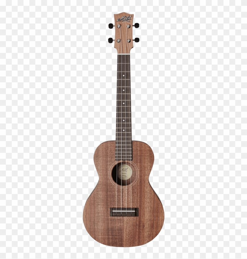 Tenor Ukulele - Best Concert Ukulele Clipart #2315091