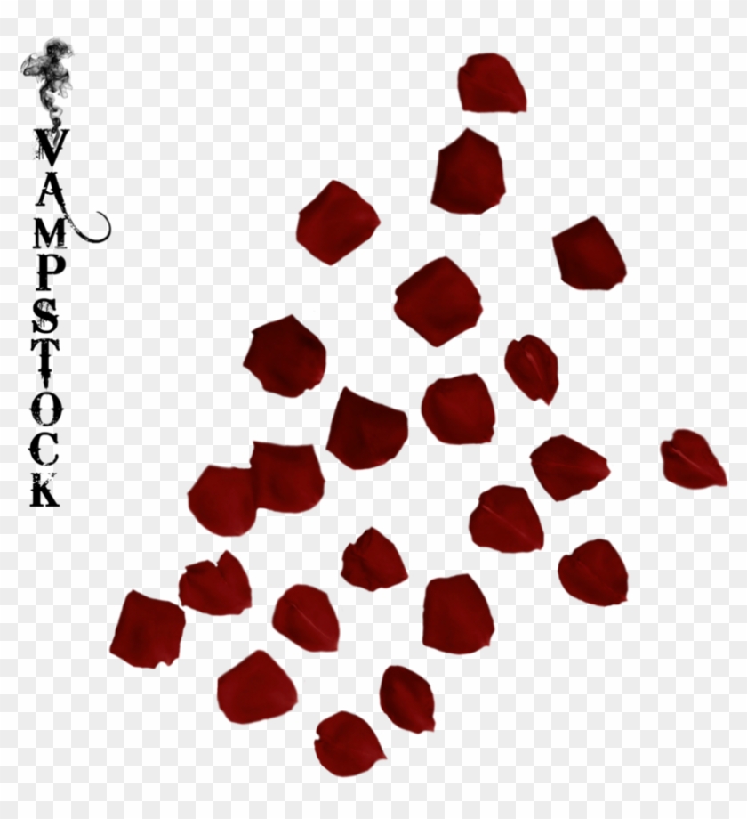 Rose Petals, Overlays, Photoshop, Rose Flowers, Pink - Kolej Bunga Raya Unimas Clipart