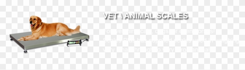 Slide2 Clipart #2316297