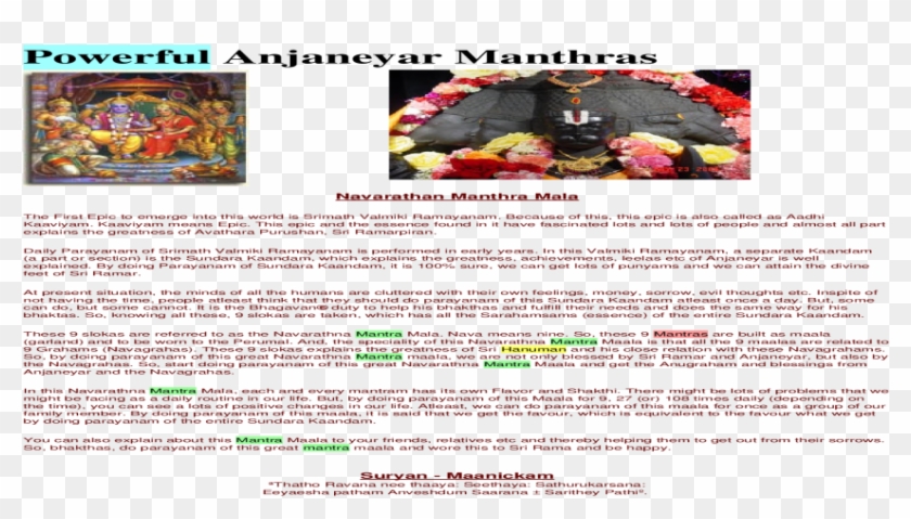 Tasmanian Devil , Png Download Clipart