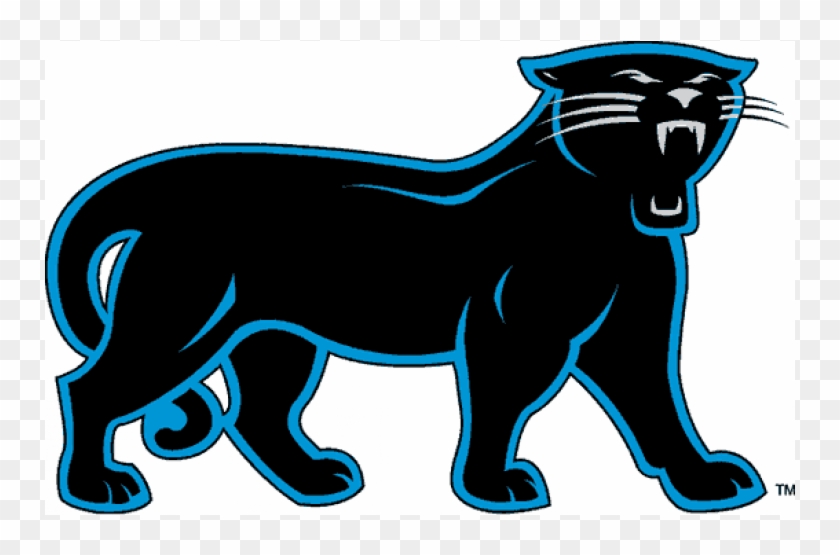Carolina Panthers Iron On Stickers And Peel-off Decals - Carolina Panthers Clipart #2317068