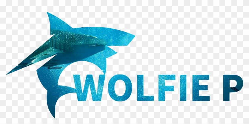 Great White Shark Conservation Program - Shark Clipart #2317200