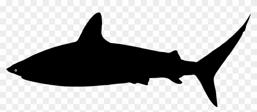 File - Shark Silhouette - Svg - Wikimedia Commons - Shark Silhouette Svg Clipart #2317331