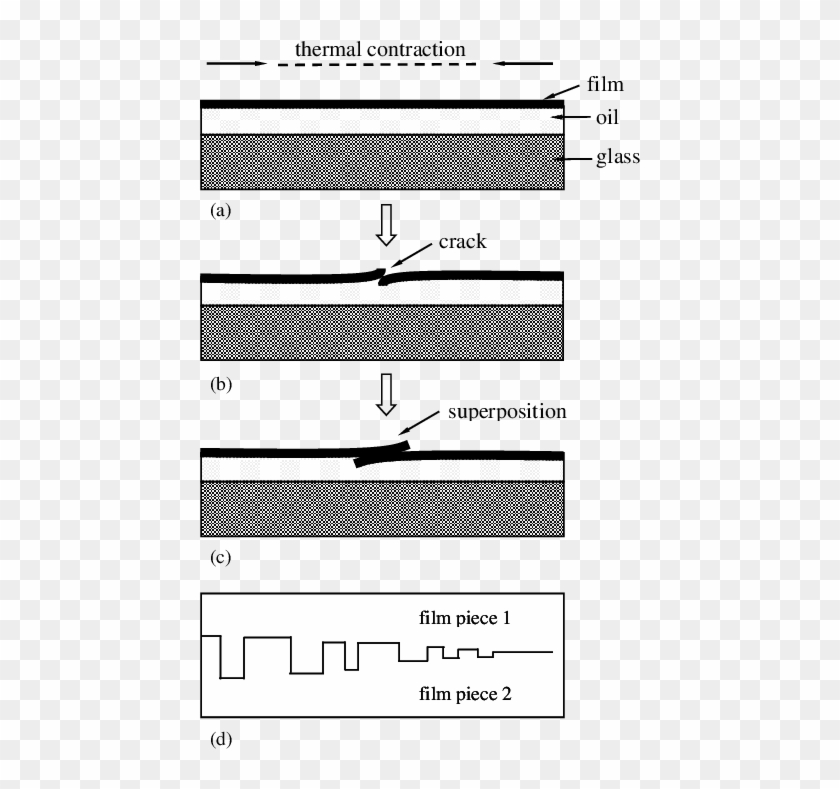 Schematic Drawing Of Formation Process Of The Sandwiched - Thermal Contraction Drawings Clipart