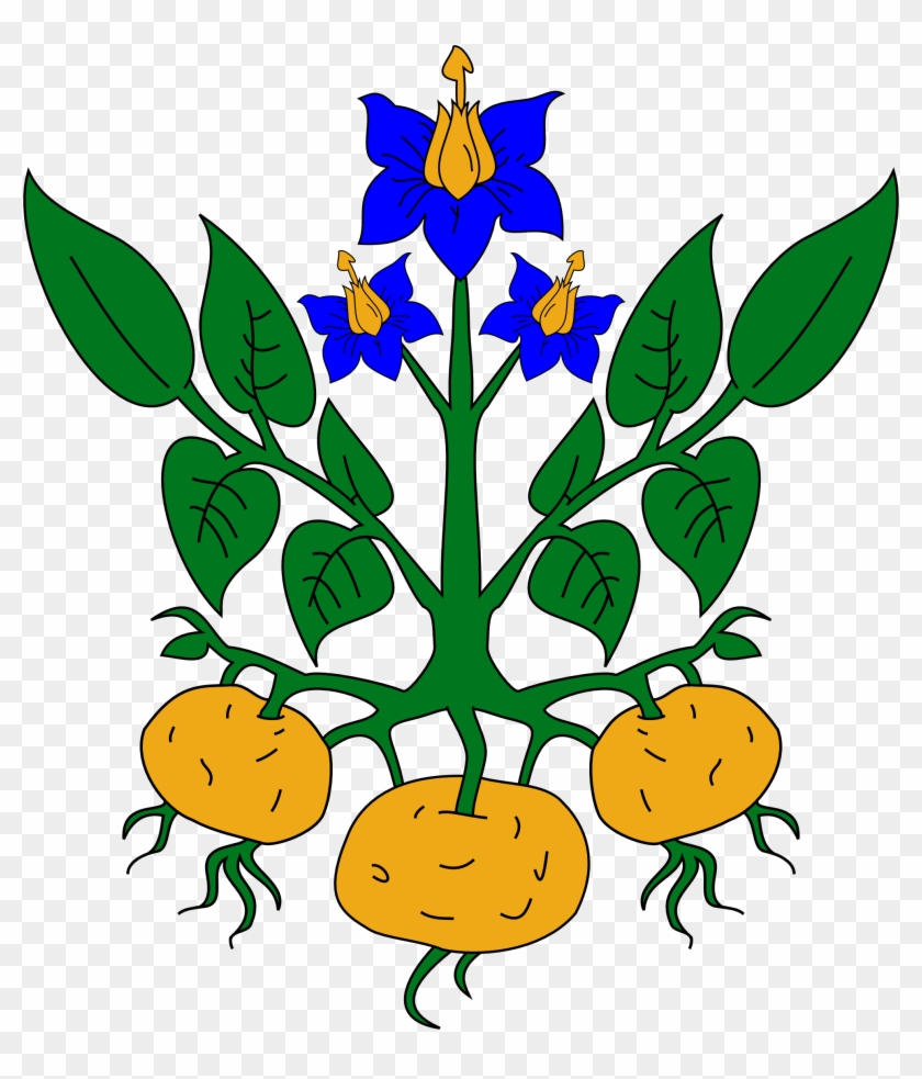 Parts Of A Plant Clipart - Parts Of The Plant Clipart - Png Download #2318260