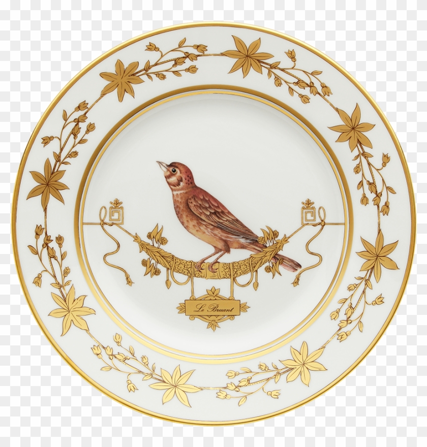Dinner Plate Volière Le Bruat - Ginori Voliere Clipart