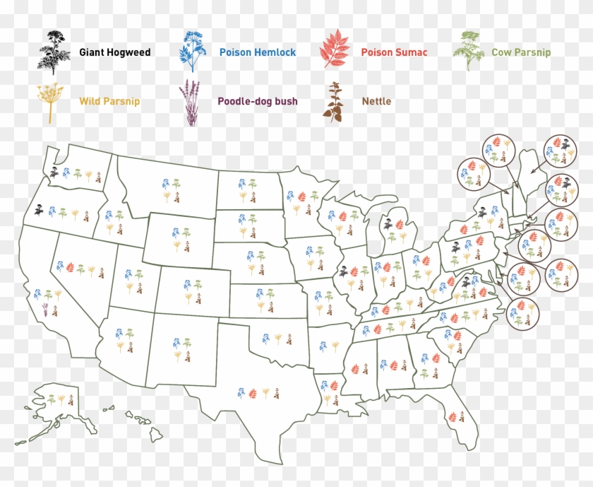 Hazardous Plant Map Sidebar - Lockup Quotas Clipart