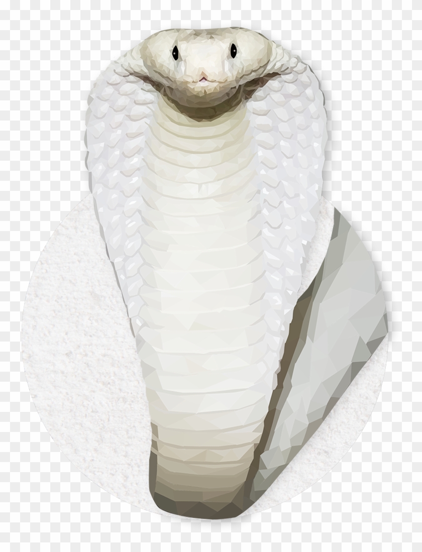 Emmasimoncic - Tumblr - Com - Low Poly White Cobra - Serpent Clipart