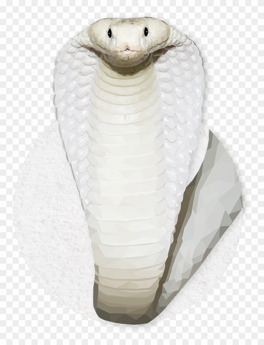 Emmasimoncic - Tumblr - Com - Low Poly White Cobra - Serpent Clipart #2322143
