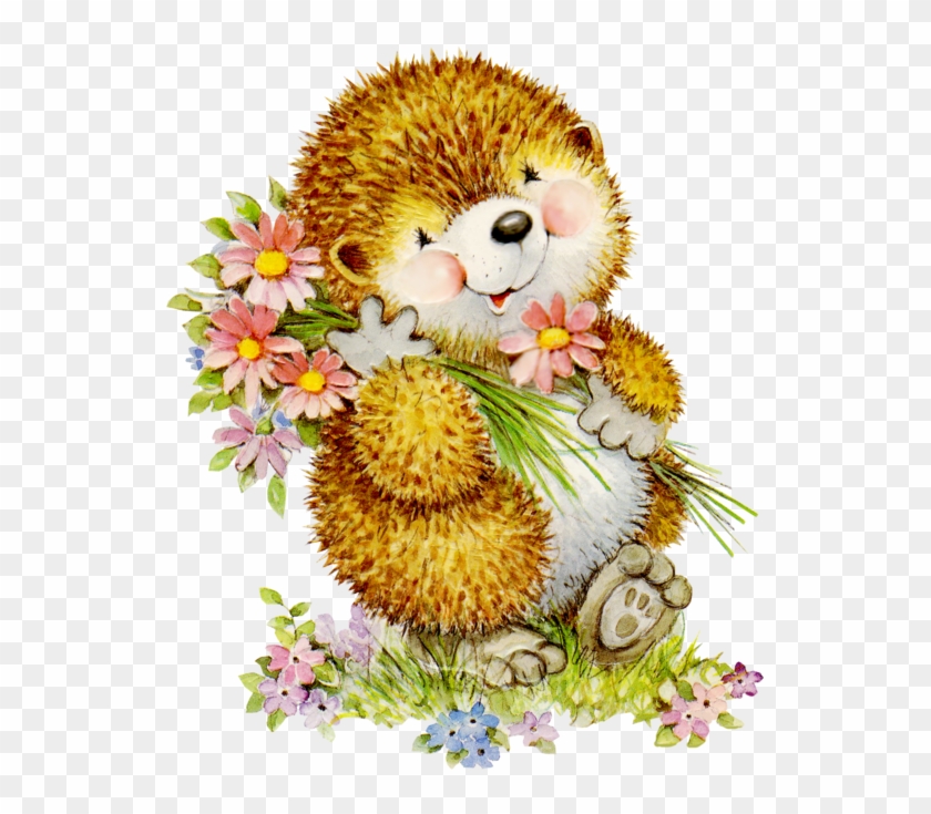 Hedgehog Png Clipart