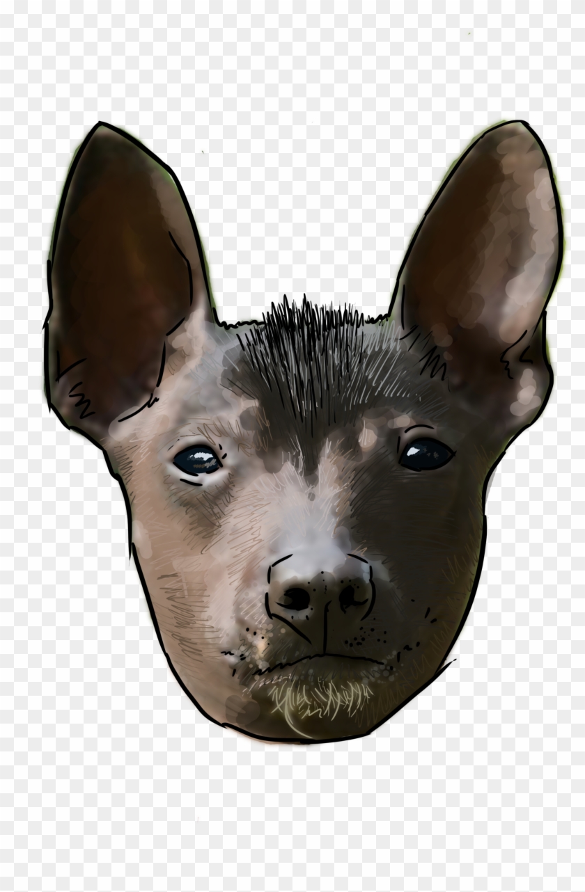 Why Are You A Dog Clipart