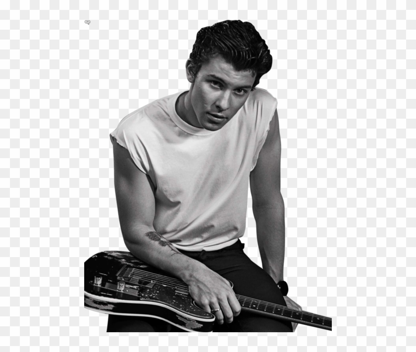 Shawn Mendes Nick Jonas Gay Fake Clipart