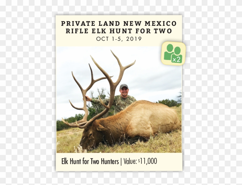 Private Land New Mexico Rifle Elk Hunt For Two - Elk Clipart