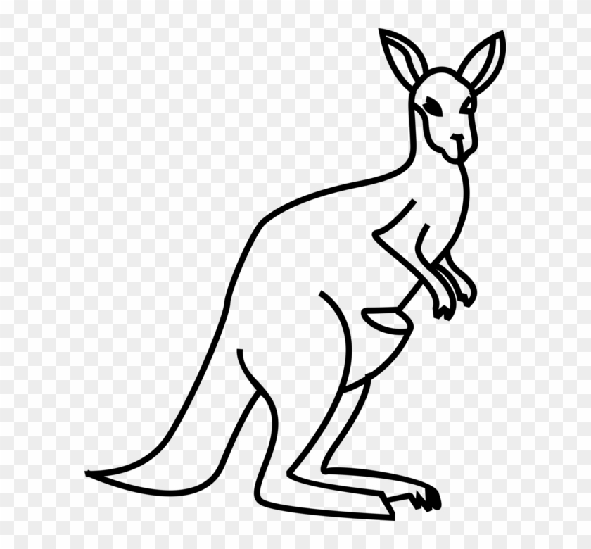 599 X 700 4 - Känguru Clipart Schwarz Weiß - Png Download