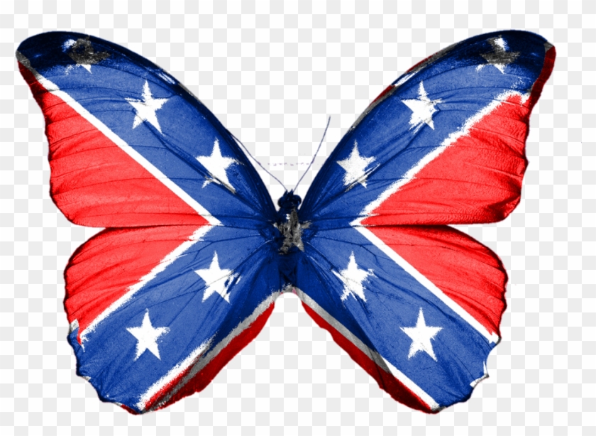 #butterfly #confederate #south #rebel #insect Clipart #2327557