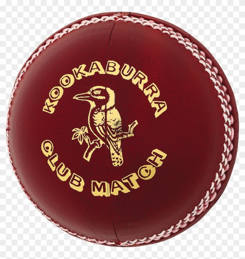 Cricket Ball - Kookaburra Regulation Cricket Ball Clipart #2329457