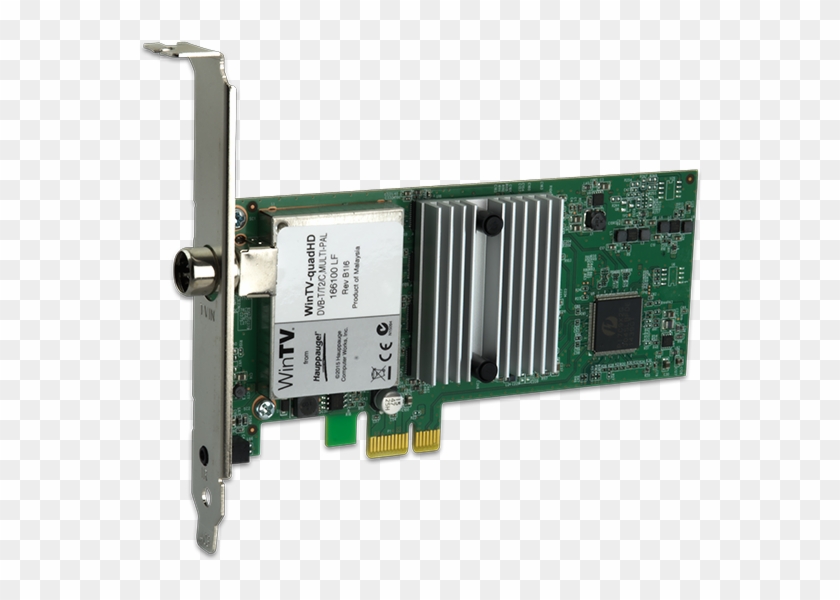 Four Freeview Hd Over The Air Hd Tv Tuners On A Half - Hauppauge Win Tv Quad Hd Tv Tuner Clipart