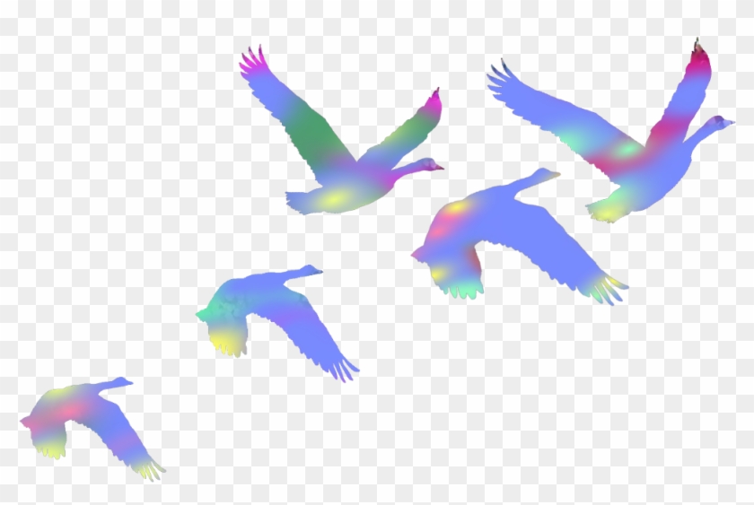 #birds #swans #flyingbirds #flaying #colorful #duce - Flock Clipart #2329677