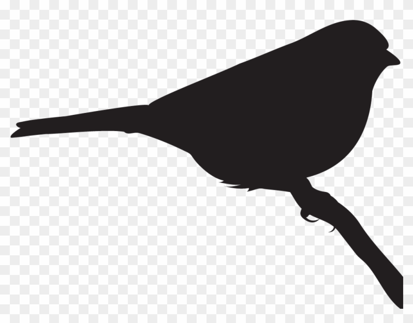 Clay-colored Sparrow - Emberizidae Clipart