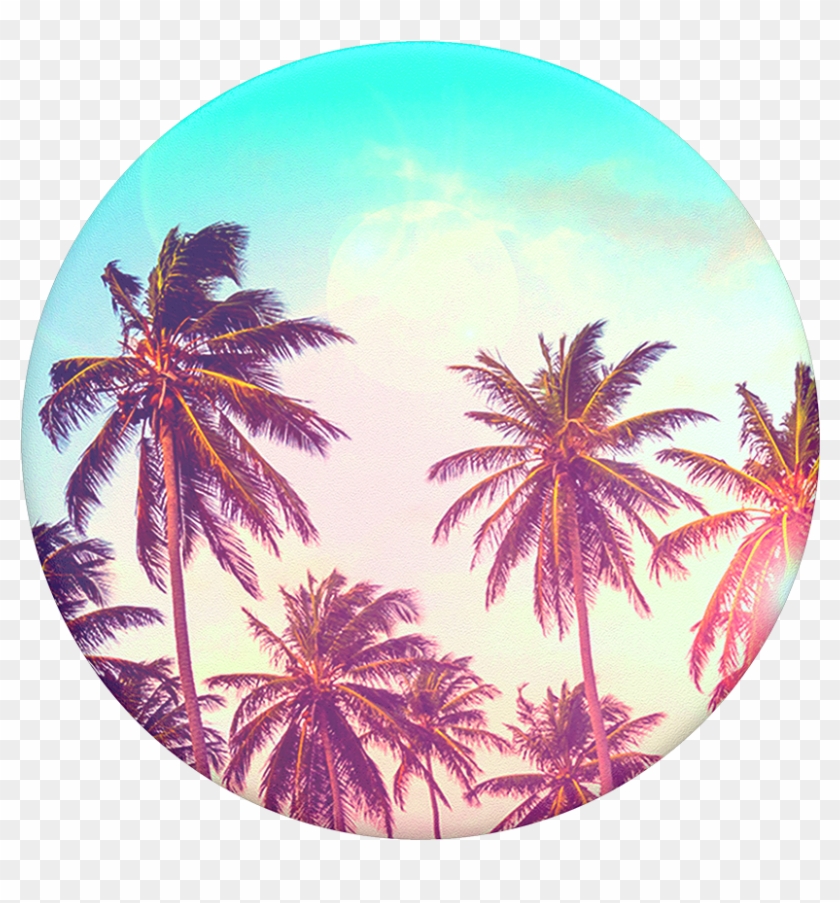 Palm Trees, Popsockets - Palm Tree Popsocket Clipart