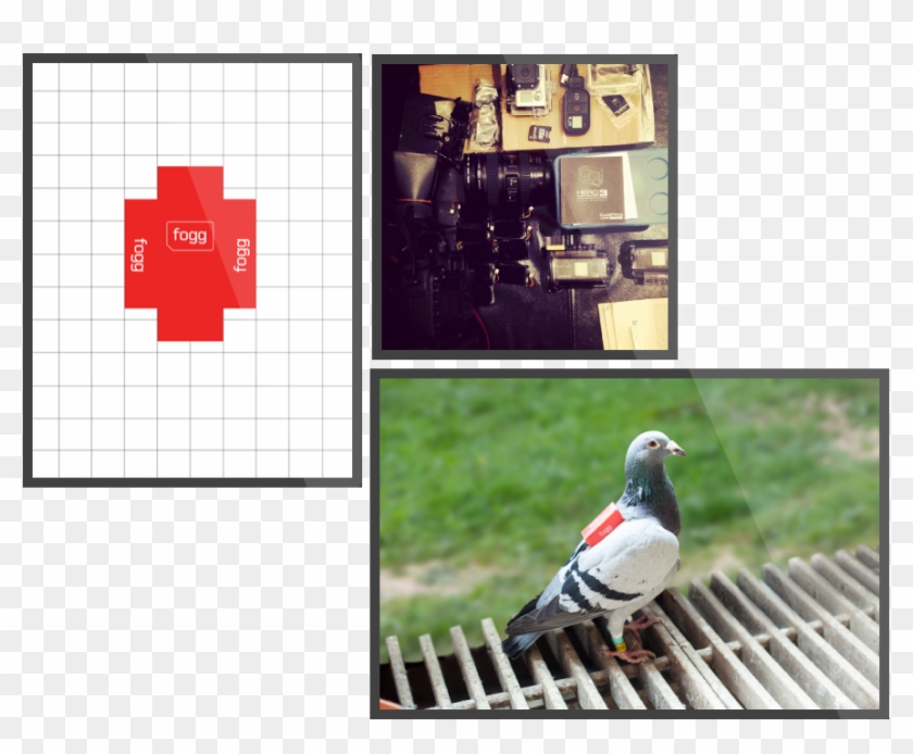 Foggtweetpics - Magpie Clipart