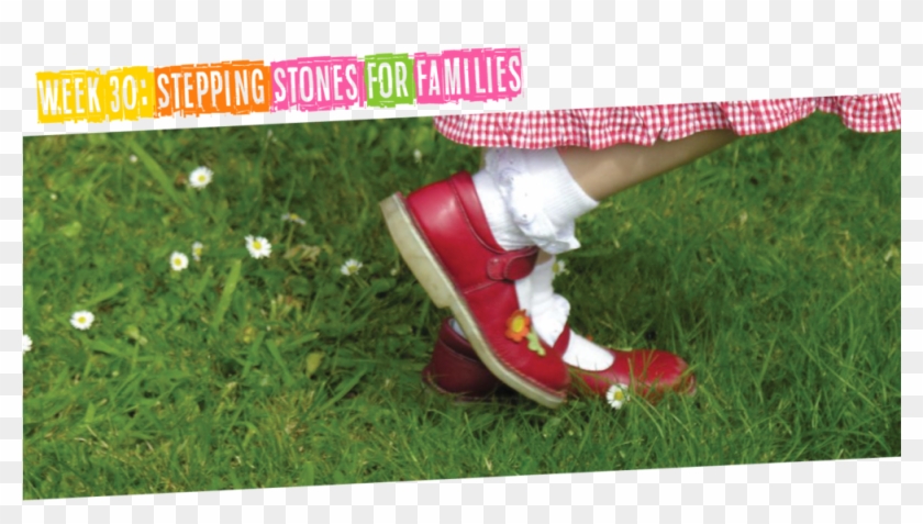 Site - Artificial Turf Clipart