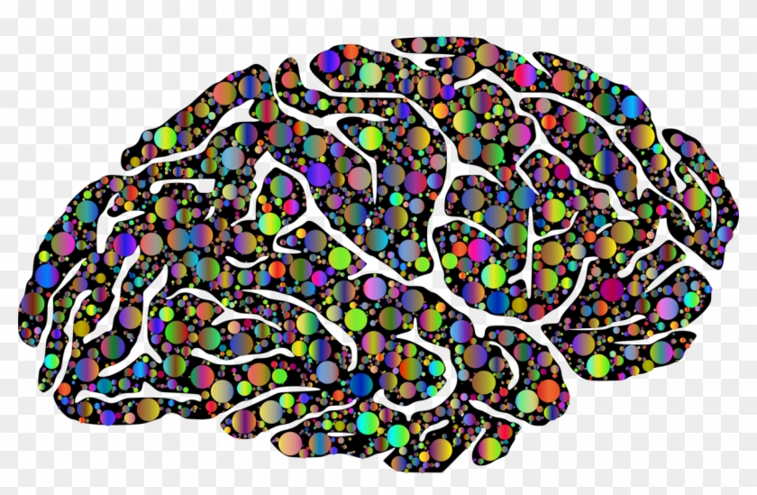 University Of Rochester School Of Medicine And Dentistry - Seven Habits Proactive Vs Reactive Language Clipart #2334358