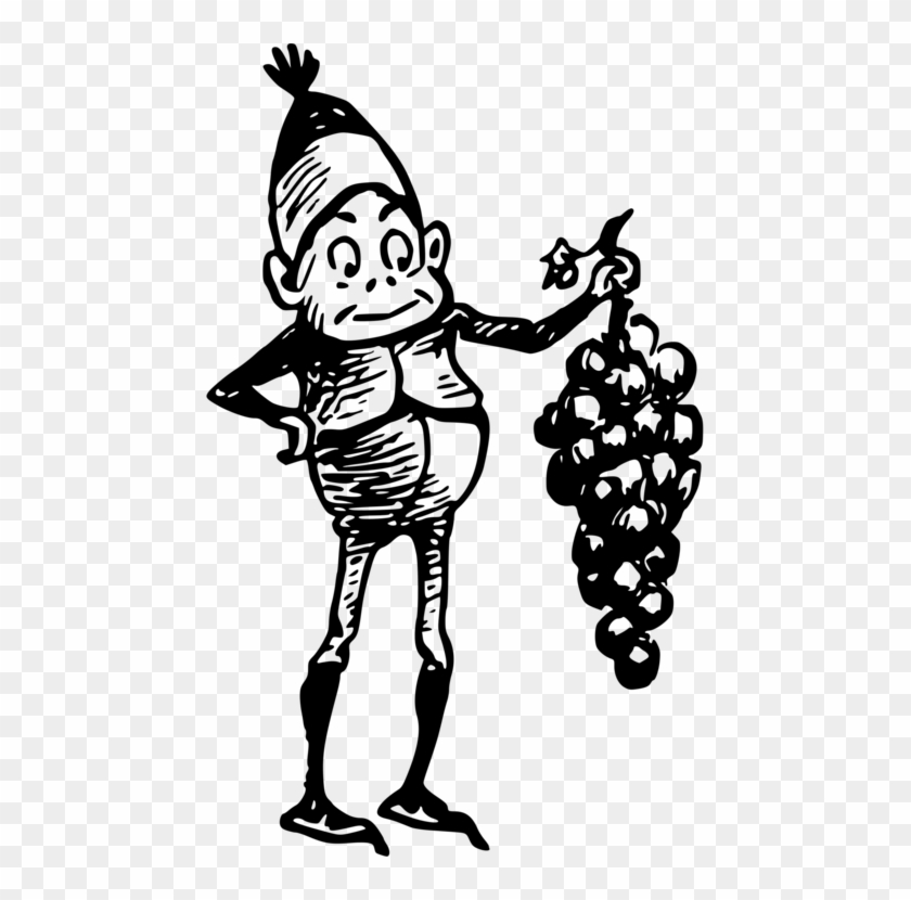 Common Grape Vine Wine Windows Metafile Drawing - Cartoon Clipart