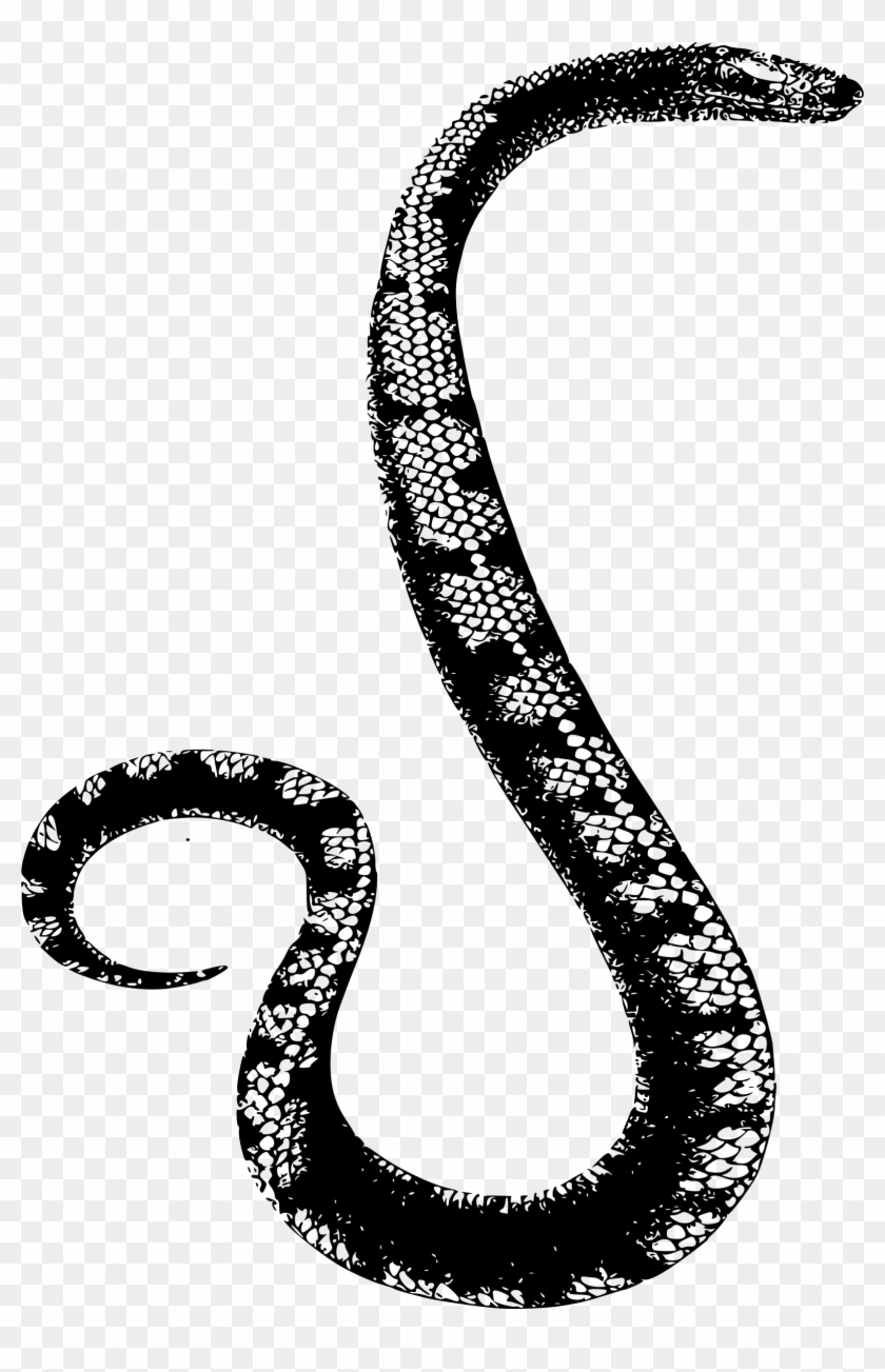 Rattlesnake Clipart Simple Snake - Serpiente En Blanco Y Negro - Png Download
