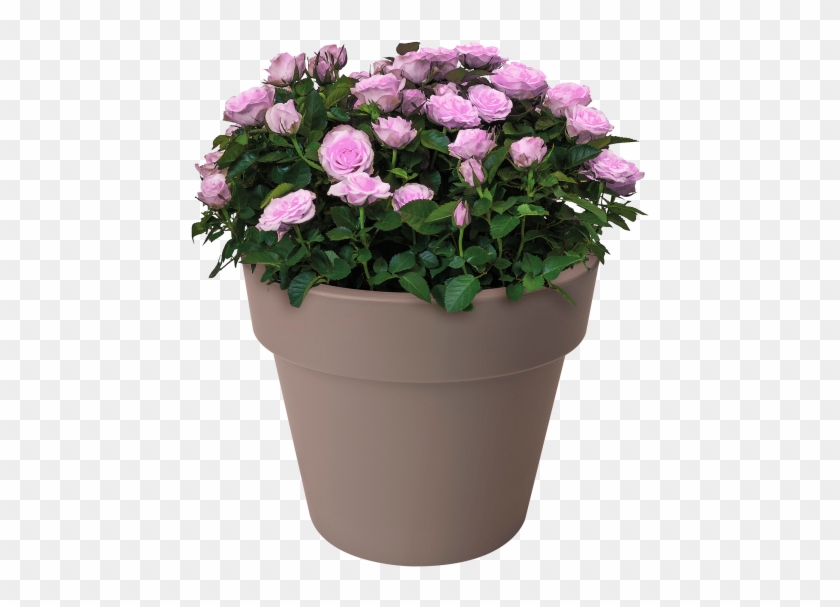 Home > Collection > Green Basics Top Planter Clipart