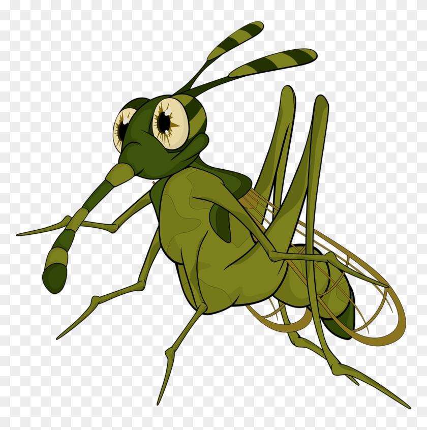 Terrible Mosquito - Illustration Clipart