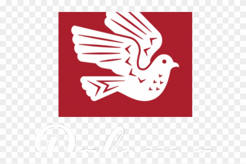 Mourning Dove Clipart Paloma - Sparrow - Png Download #2337687