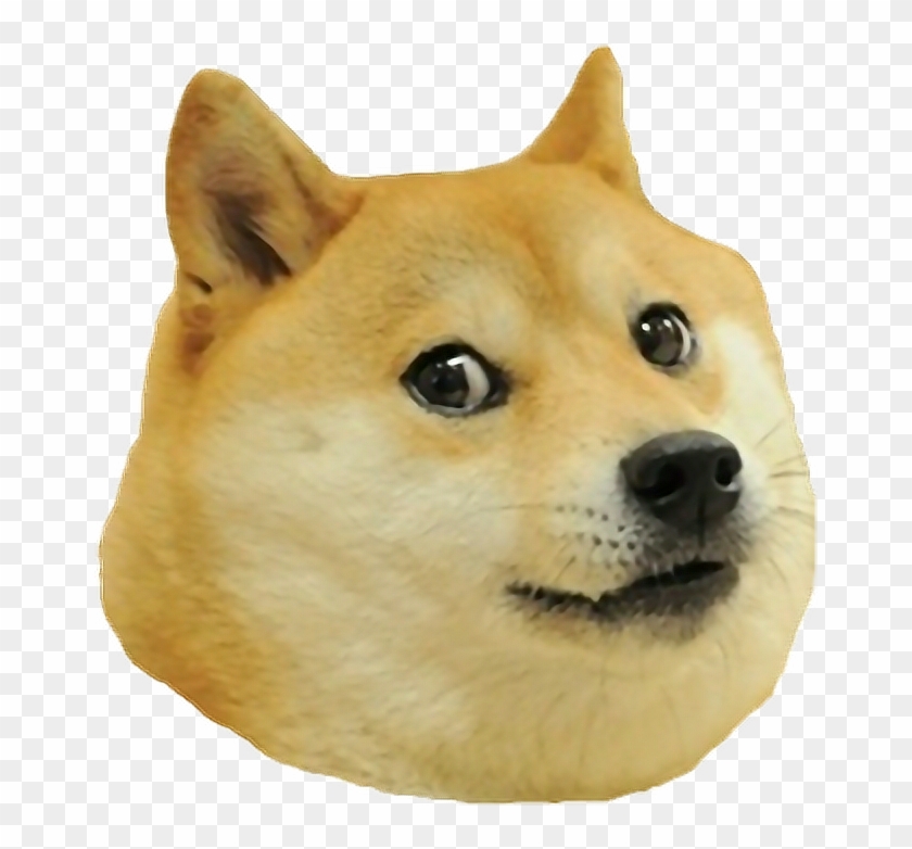 #freetoedit#meme #dogface #tumblr#remixit Doge, Uber, - Doge Head Transparent Clipart