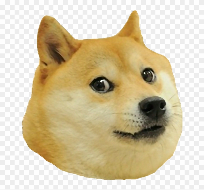 #freetoedit#meme #dogface #tumblr#remixit Doge, Uber, - Doge Head Transparent Clipart #2338824