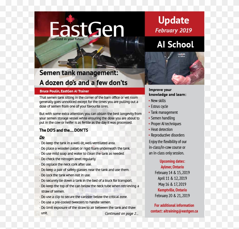 Company News - Flyer Clipart #2339324