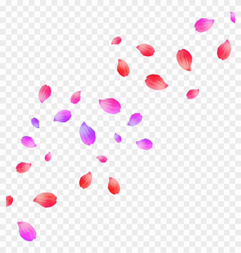 #flower #petals #flowerpetals #freetoedit Clipart