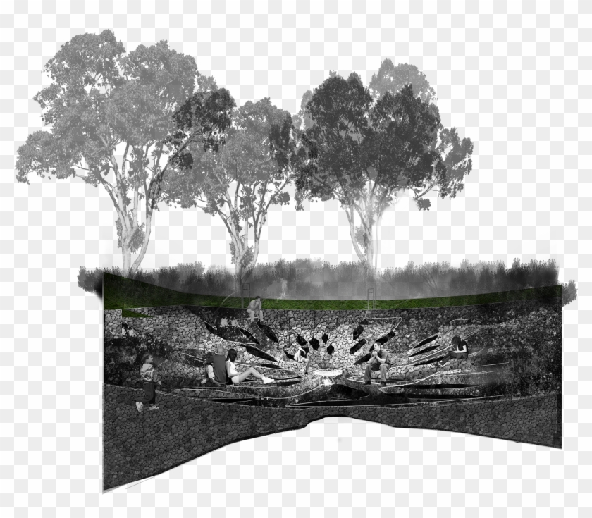 Photomontages And Sketches Of The Memorial - Oak Clipart #2343567