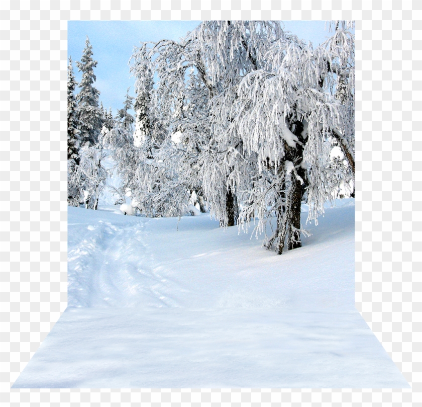 3 Dimensional View Of - Snow Clipart #2344159