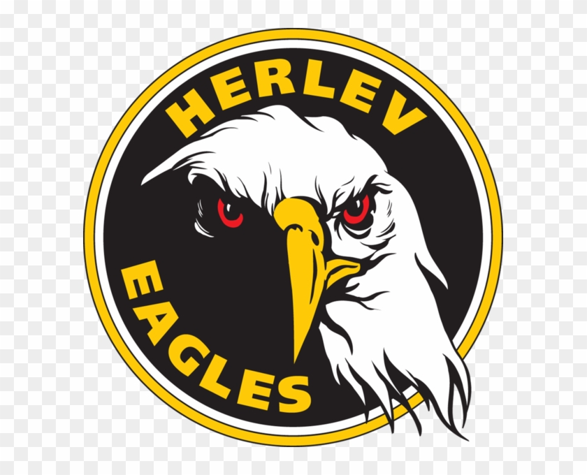Herlev Eagles - Herlev Eagles Logo Clipart
