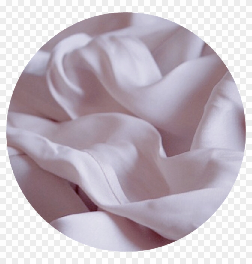 #rose #soft #aesthetic #png #overlay #filler #pastel - Photography Clipart