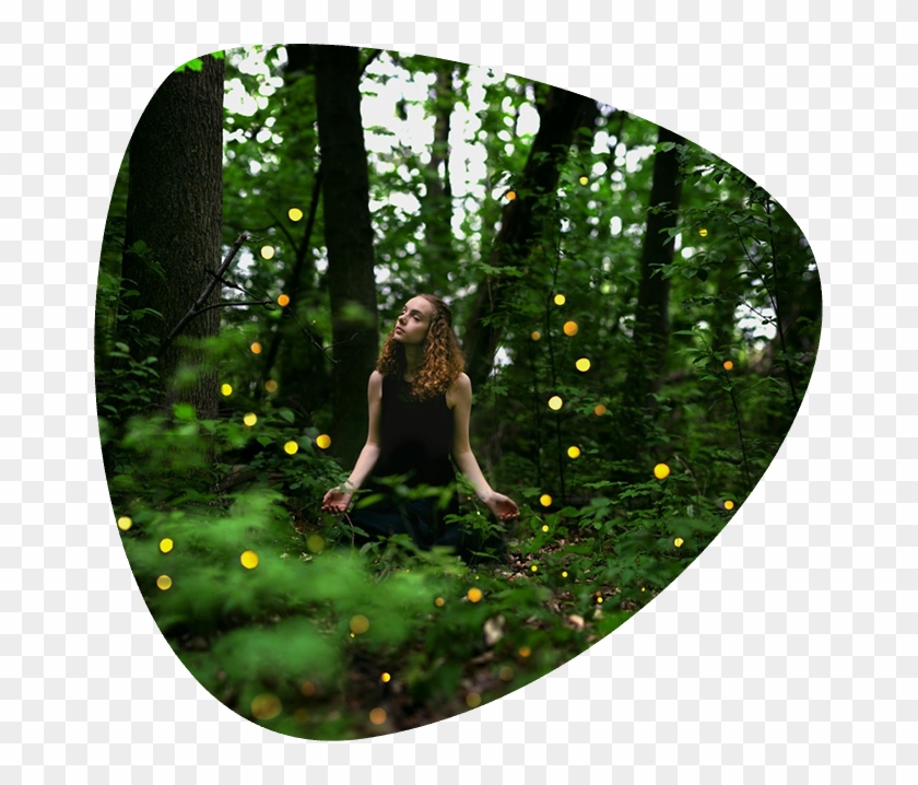 Fireflies Festival Camping - Circle Clipart
