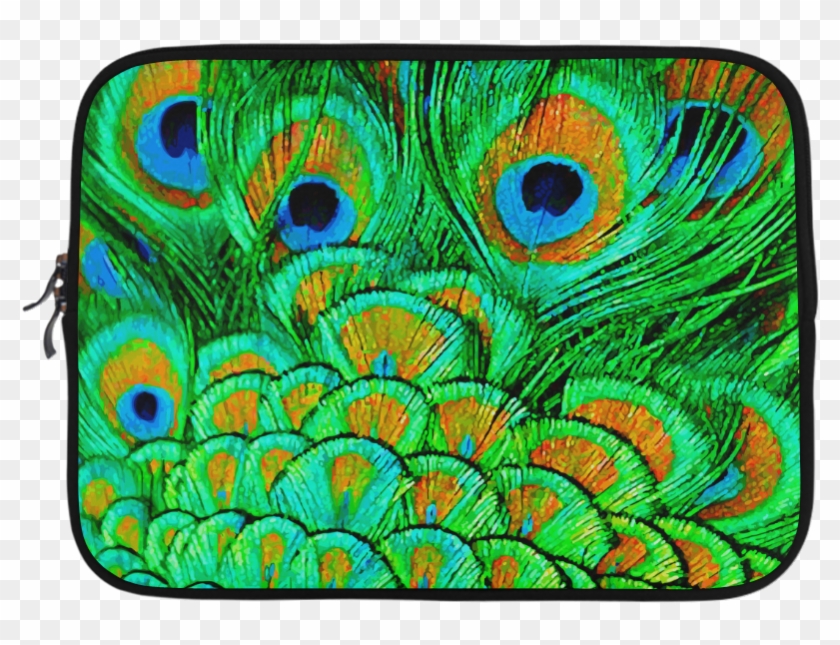 Peacock Feather Clipart #2346686