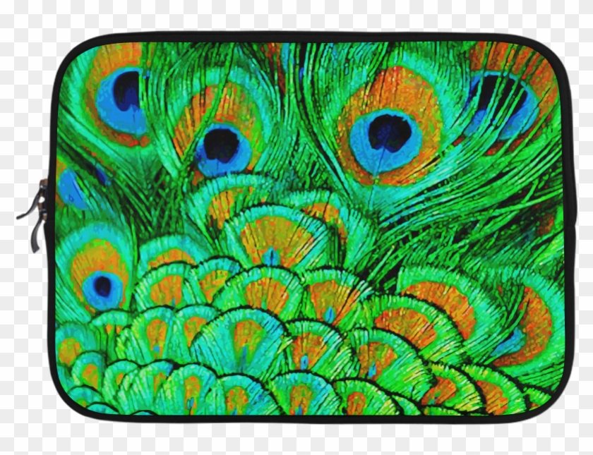 Peacock Feather Clipart