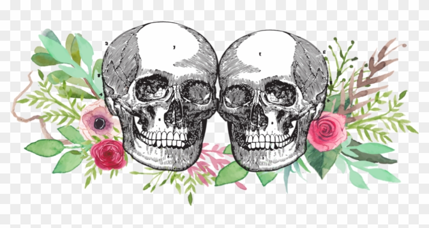 Skull Logo Png Clipart